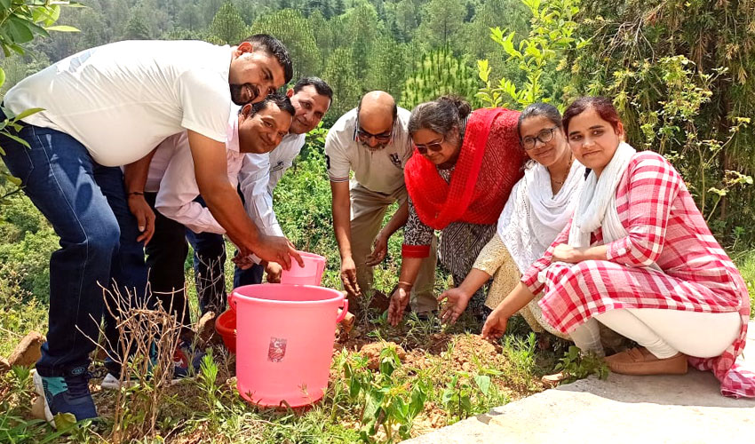 विश्व पर्यावरण दिवस पर गवर्नमेंट पीजी कॉलेज नागनाथ पोखरी में पौधा रोपण