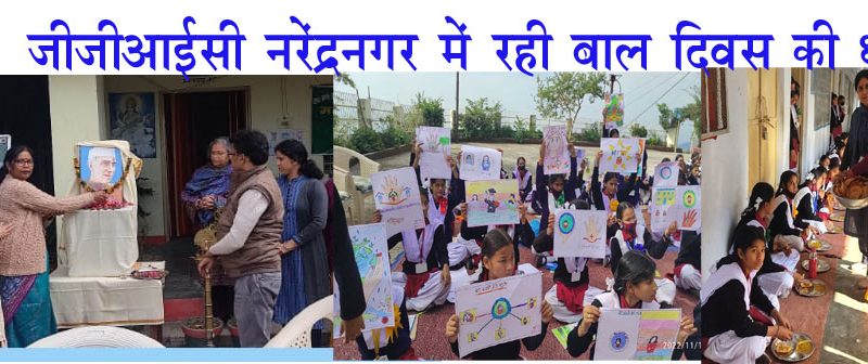 जीजीआईसी नरेंद्रनगर में धूमधाम से मनाया गया बाल दिवस