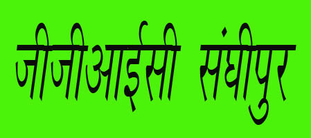 बोर्ड परीक्षा में जीजीआईसी संघीपुर का शानदार प्रदर्शन