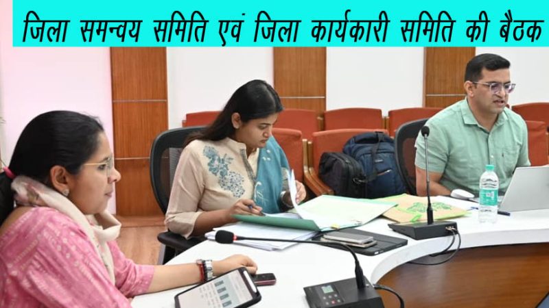 जिला समन्वय समिति एवं जिला स्तरीय कार्यकारी समिति की बैठक संपन्न