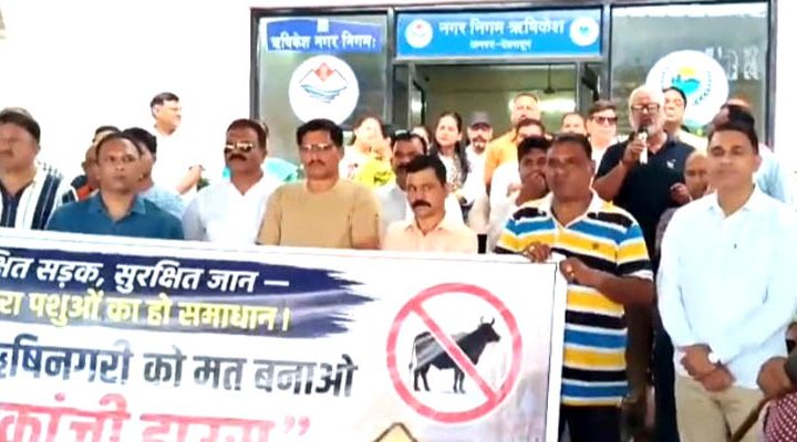 आवारा पशुओं से मुक्ति को नगर निगम के खिलाफ सड़कों पर उतरे लोग