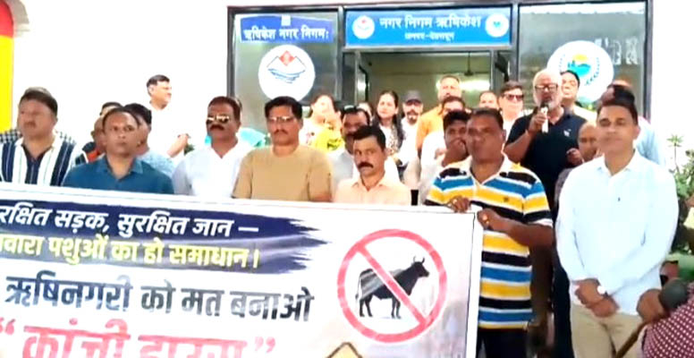 आवारा पशुओं से मुक्ति को नगर निगम के खिलाफ सड़कों पर उतरे लोग