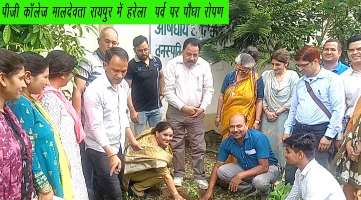 गवर्नमेंट पीजी कॉलेज रायपुर, कर्णप्रयाग और जीडीसी लंबगांव में मनाया गया हरेला पर्व